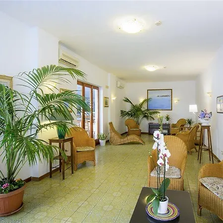 Hotel Angelina 2*