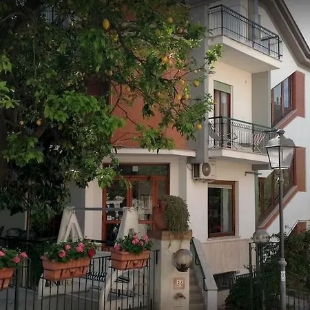 Hotel Angelina 2*