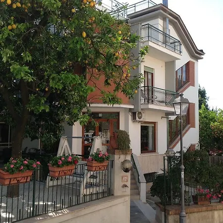 Hotel Angelina